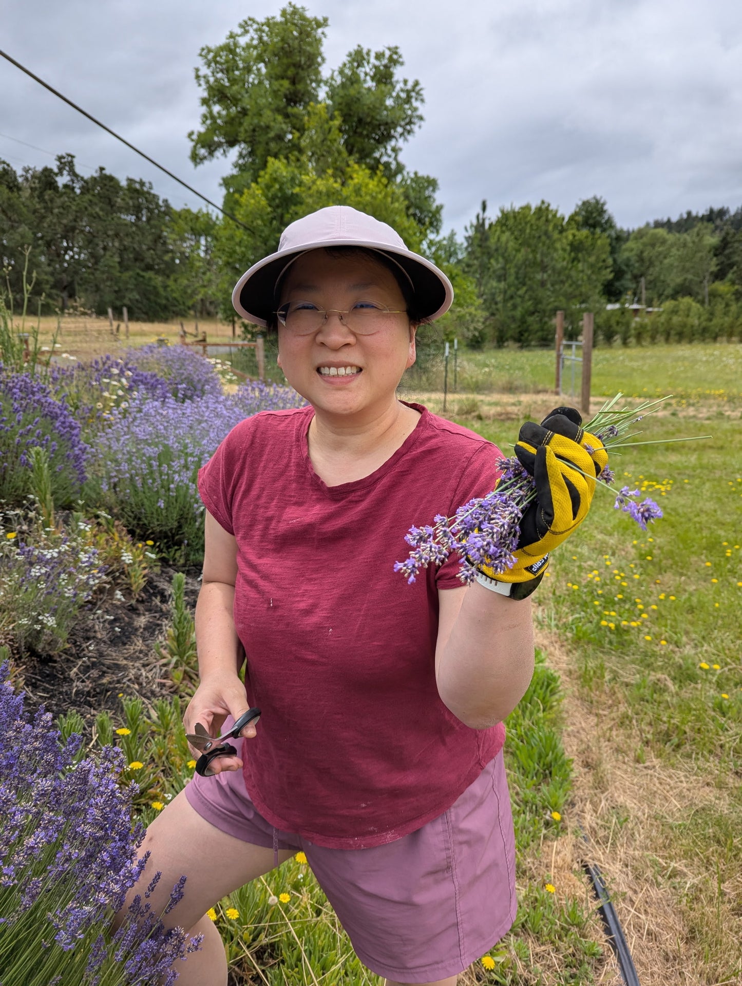 English Lavender bundles