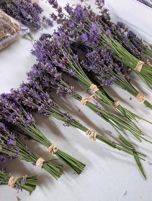 English Lavender bundles