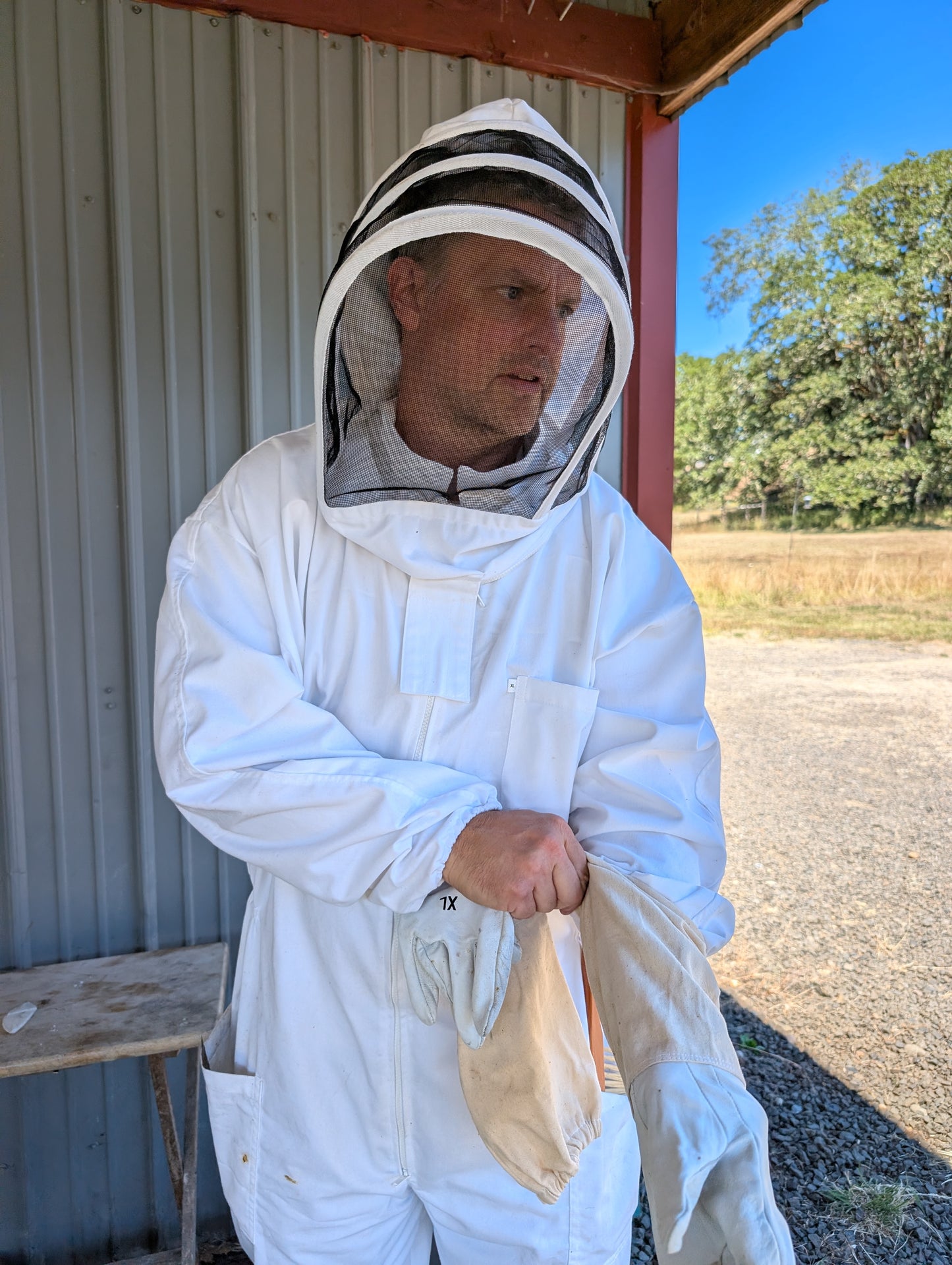 Raw Oregon Honey Bears
