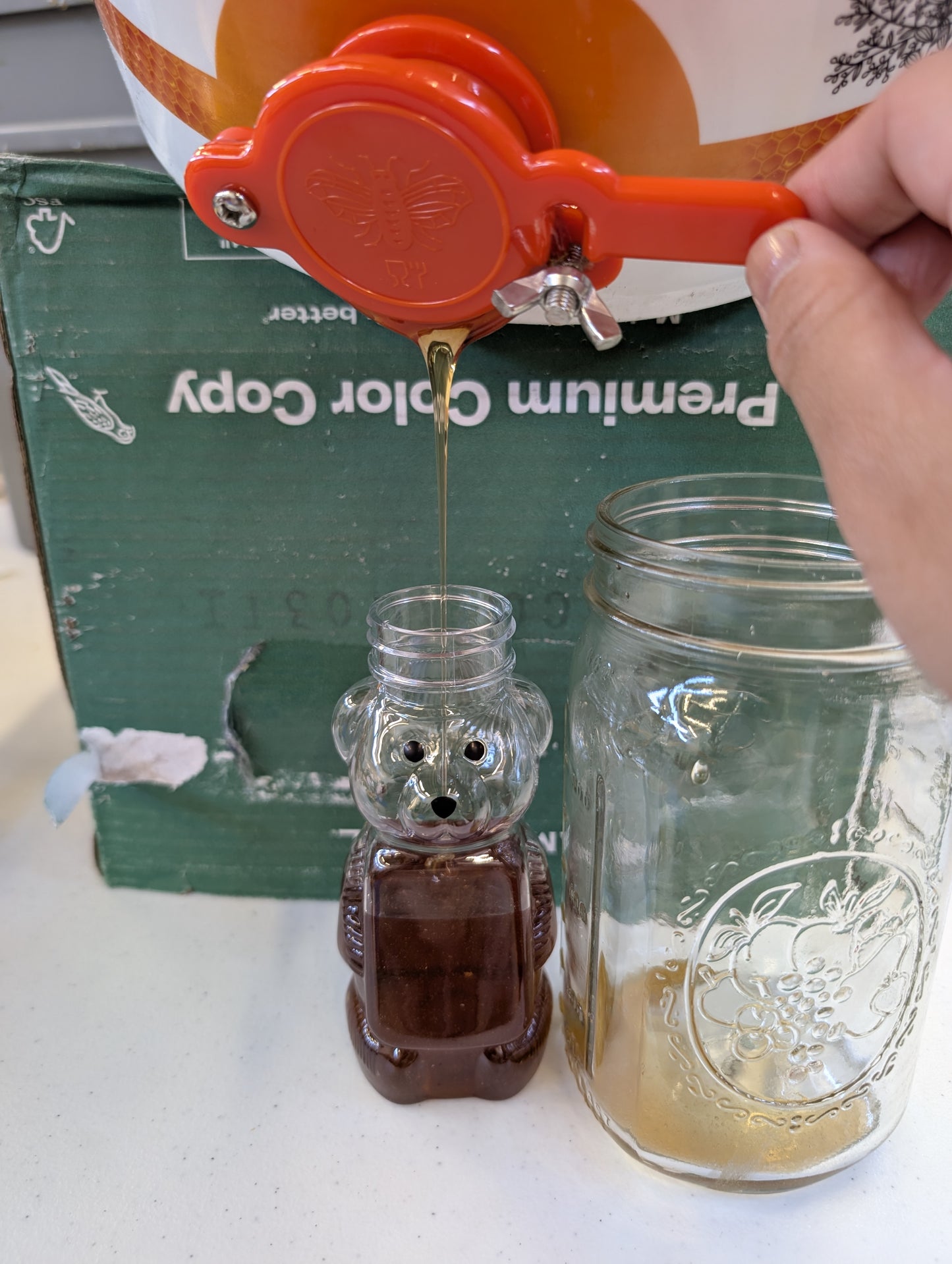 Raw Oregon Honey Bears